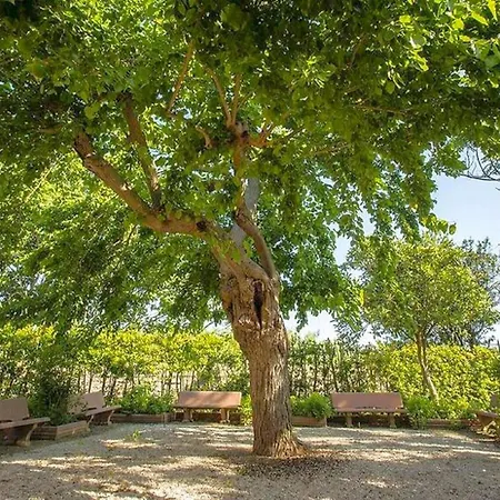 Apartamento Spacious With Shared Pool Bolgheri